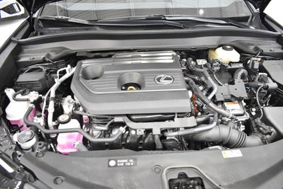 2025 Lexus UX 300h Premium