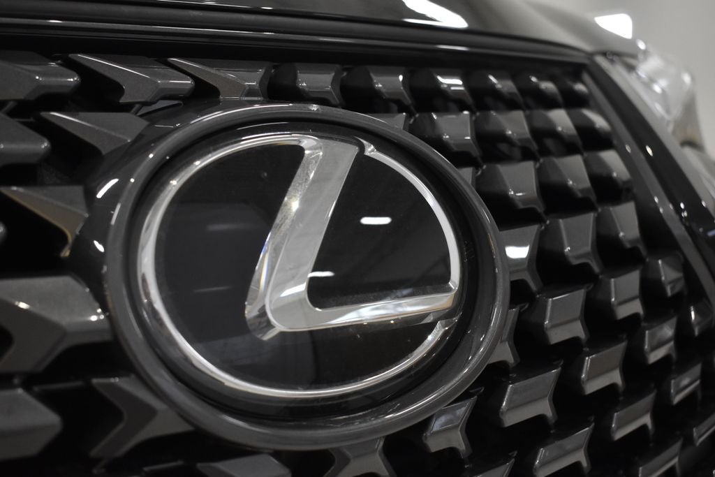 2025 Lexus UX 300h Premium