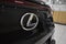 2025 Lexus UX 300h Premium