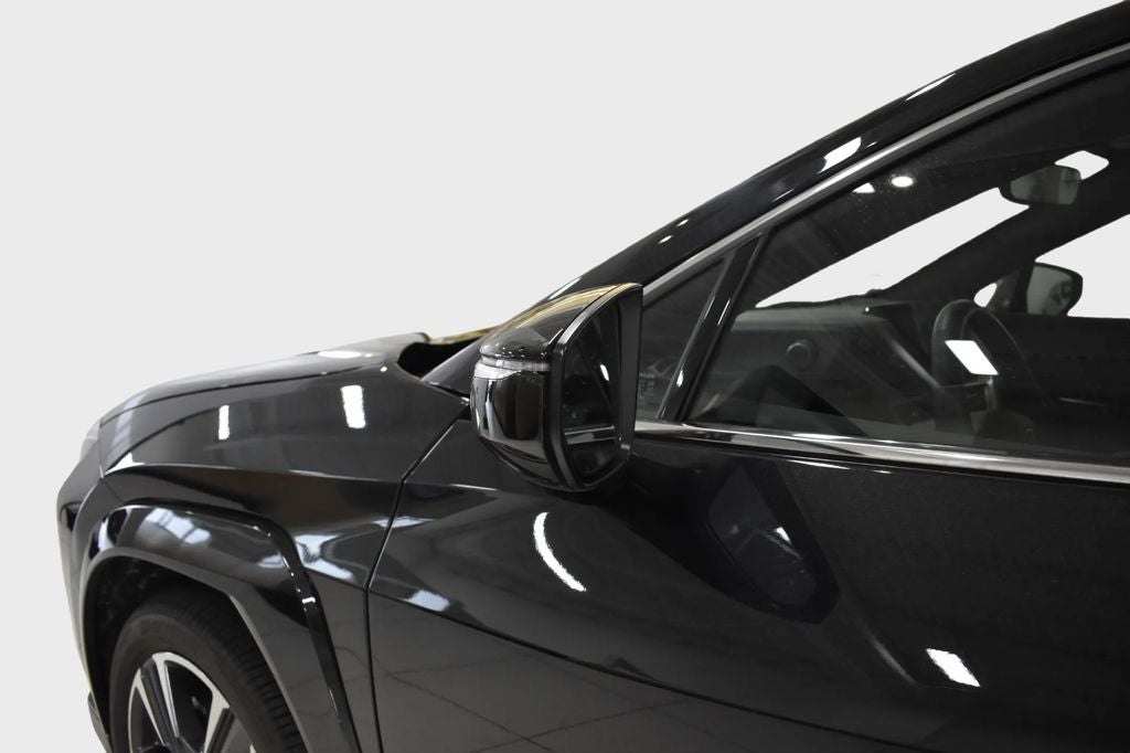 2025 Lexus UX 300h Premium