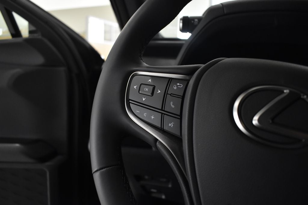 2025 Lexus UX 300h Premium