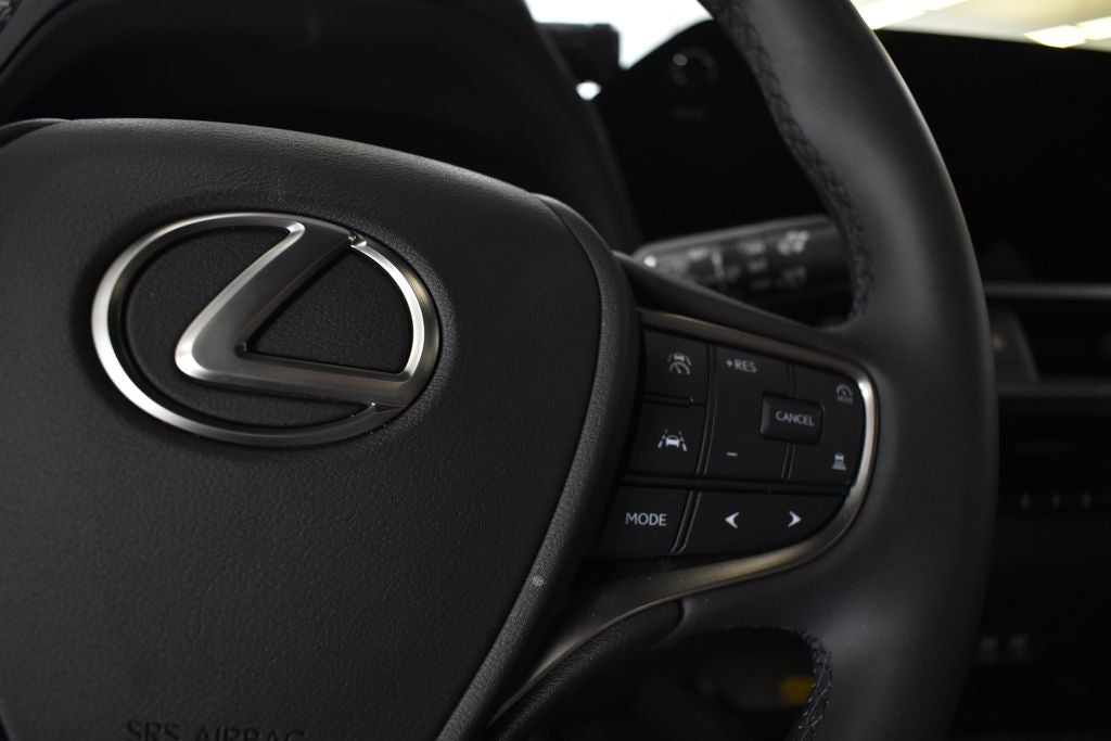 2025 Lexus UX 300h Premium