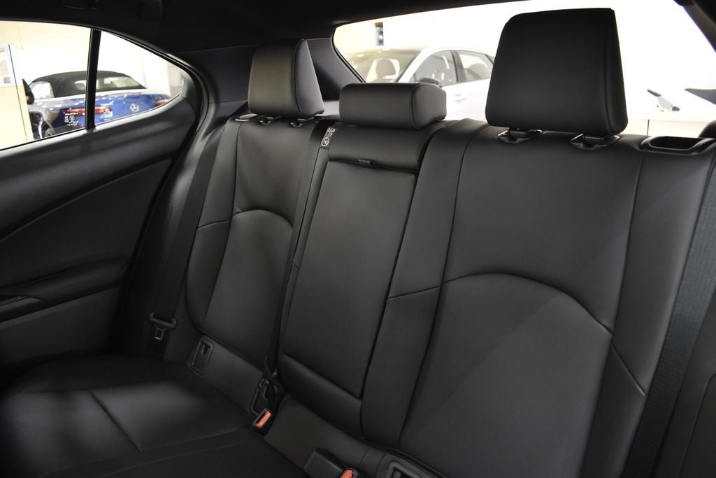2025 Lexus UX 300h Premium