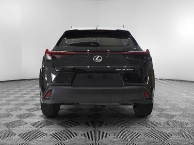 2025 Lexus UX 300h Premium