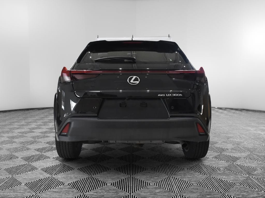 2025 Lexus UX 300h Premium