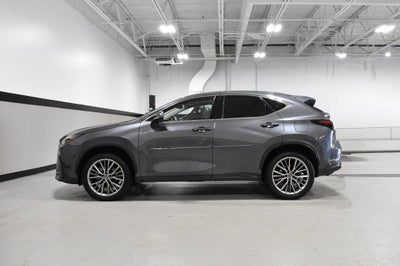 2022 Lexus NX 350h Luxury