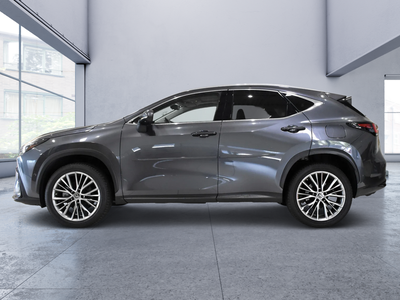 2022 Lexus NX 350h Luxury