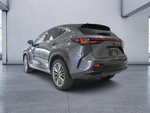 2022 Lexus NX 350h Luxury