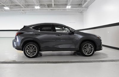 2022 Lexus NX 350h Luxury