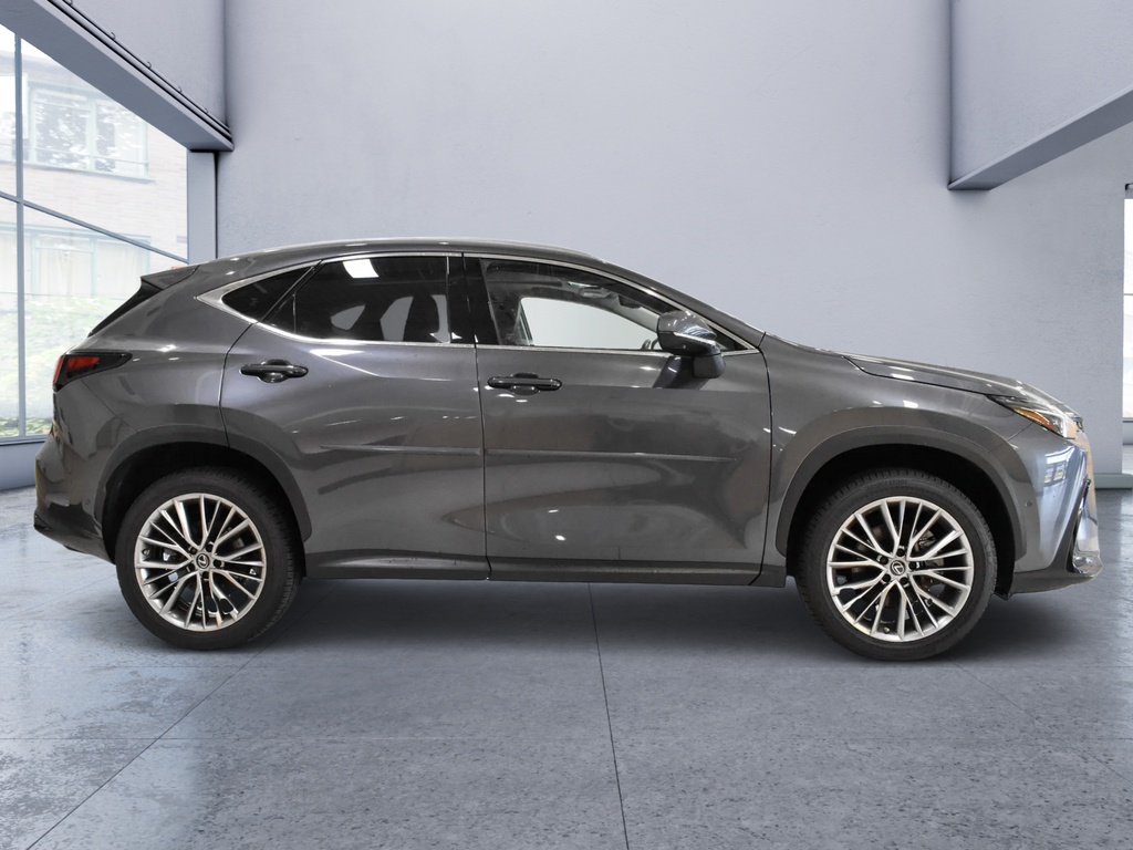 2022 Lexus NX 350h Luxury