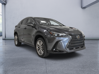 2022 Lexus NX 350h Luxury