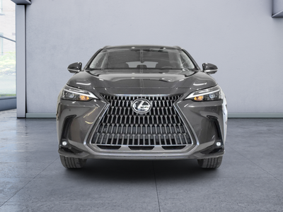 2022 Lexus NX 350h Luxury