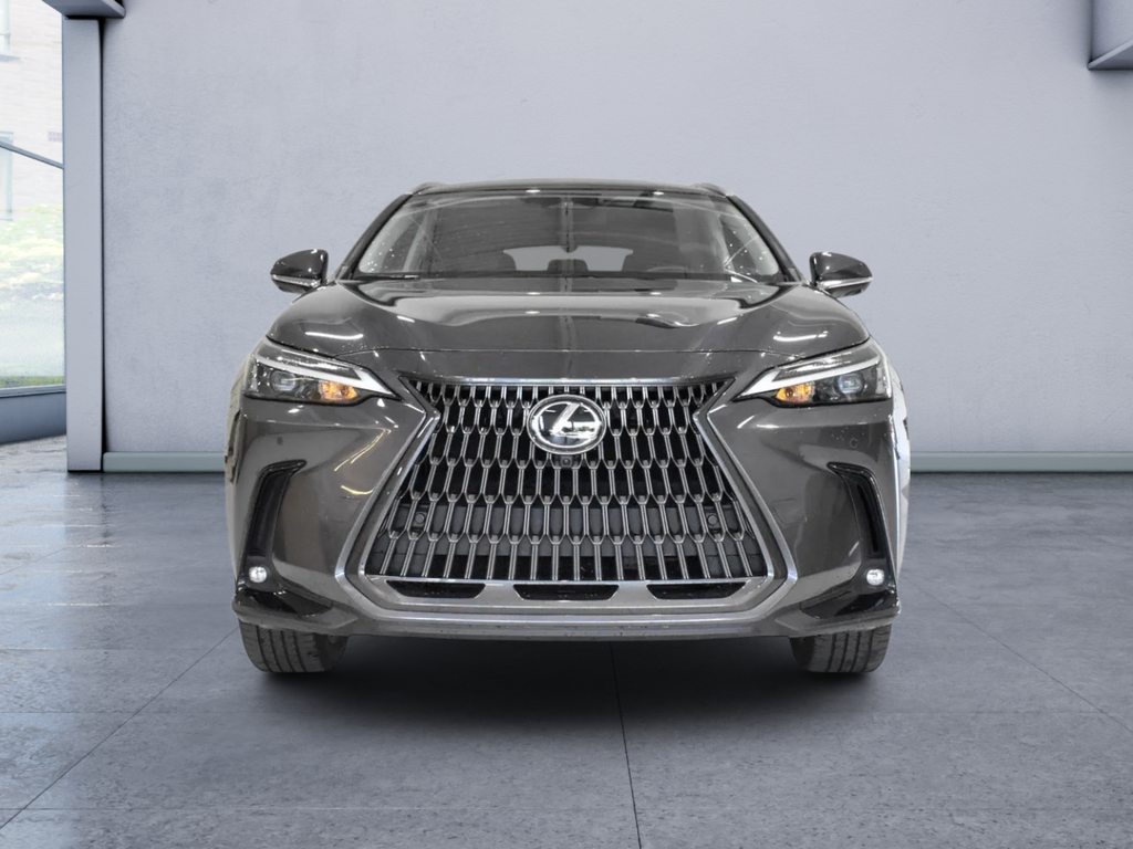 2022 Lexus NX 350h Luxury