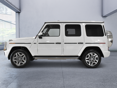 2025 Mercedes-Benz G-Class G 550 4MATIC®
