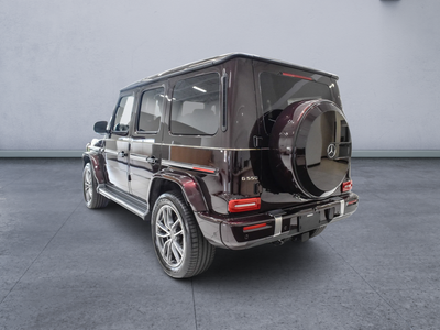 2025 Mercedes-Benz G-Class G 550 4MATIC®