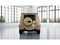 2027 Mercedes-Benz G-Class G 580 4MATIC®