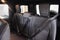 2024 Mercedes-Benz G-Class G 550 4MATIC®