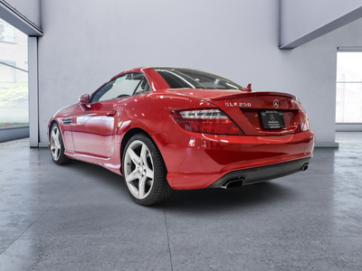 2014 Mercedes-Benz SLK SLK 250