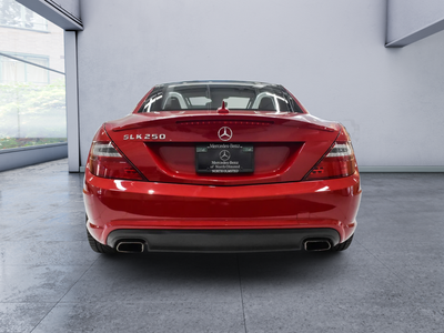 2014 Mercedes-Benz SLK SLK 250