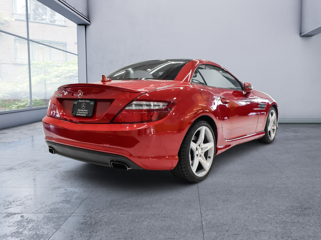 2014 Mercedes-Benz SLK SLK 250