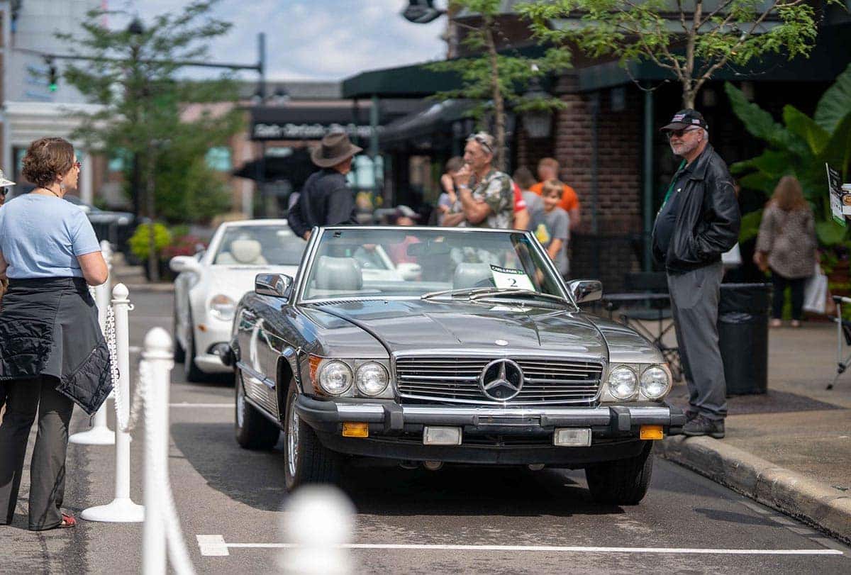 cars in the park 2021