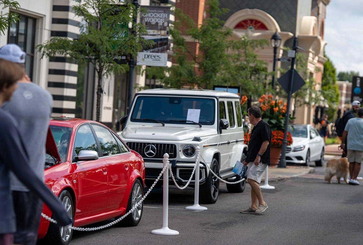 cars in the park 2021