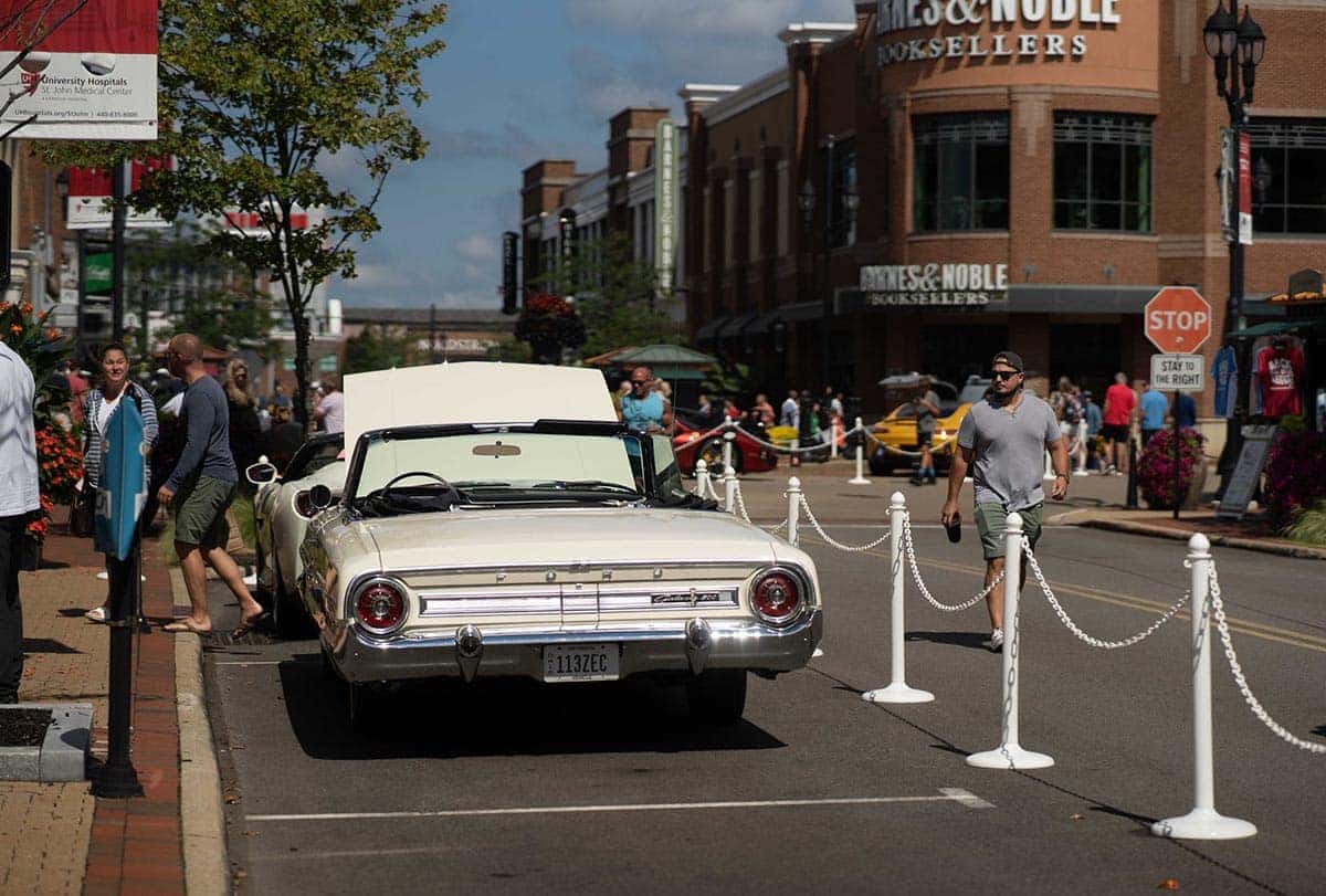 cars in the park 2021