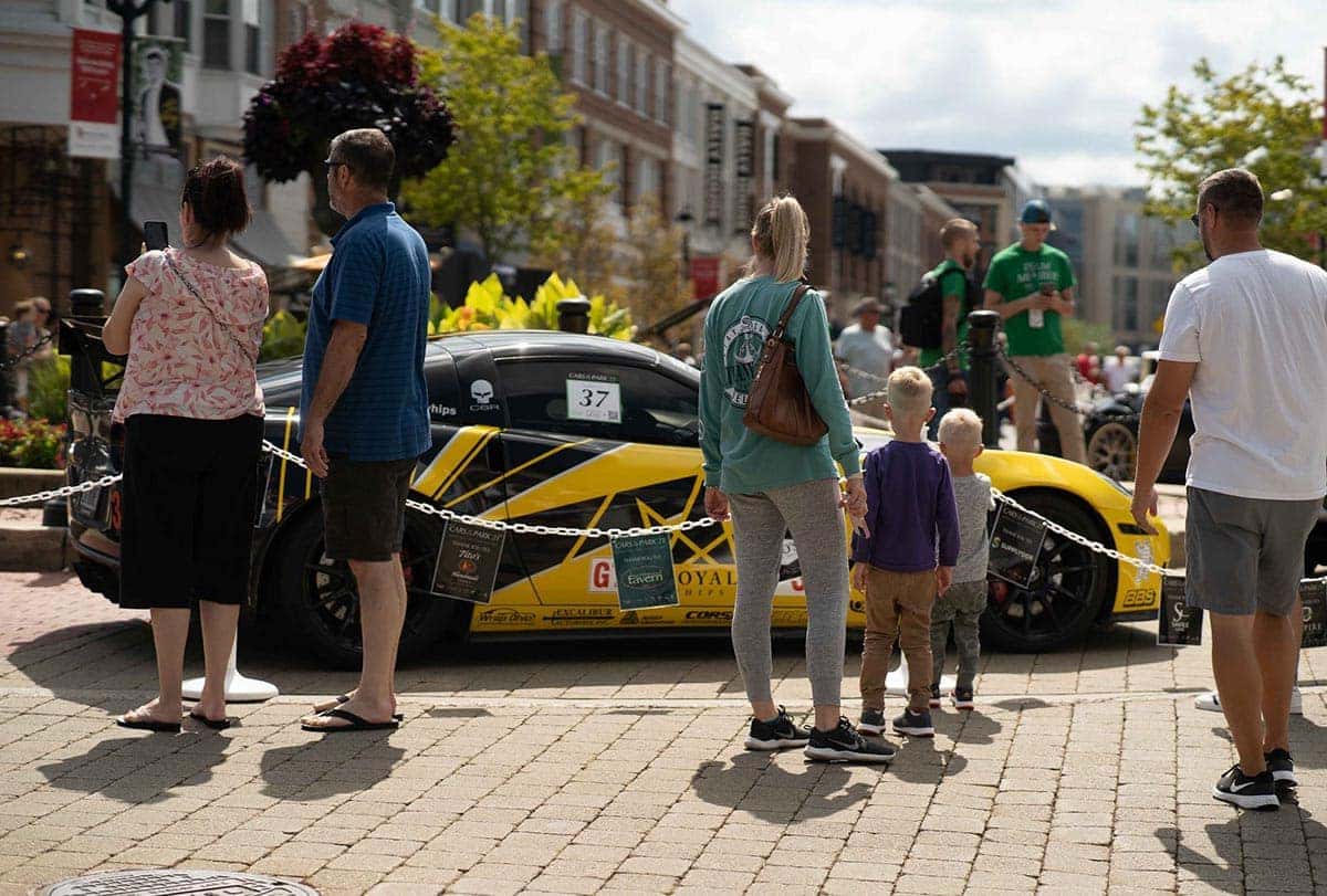 cars in the park 2021