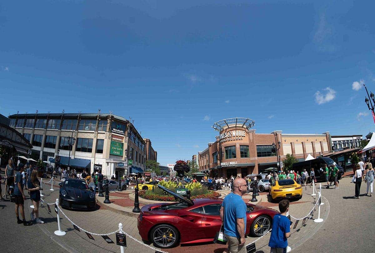 cars in the park 2021