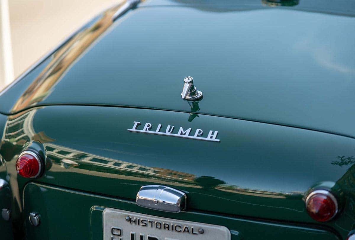 cars in the park 2021