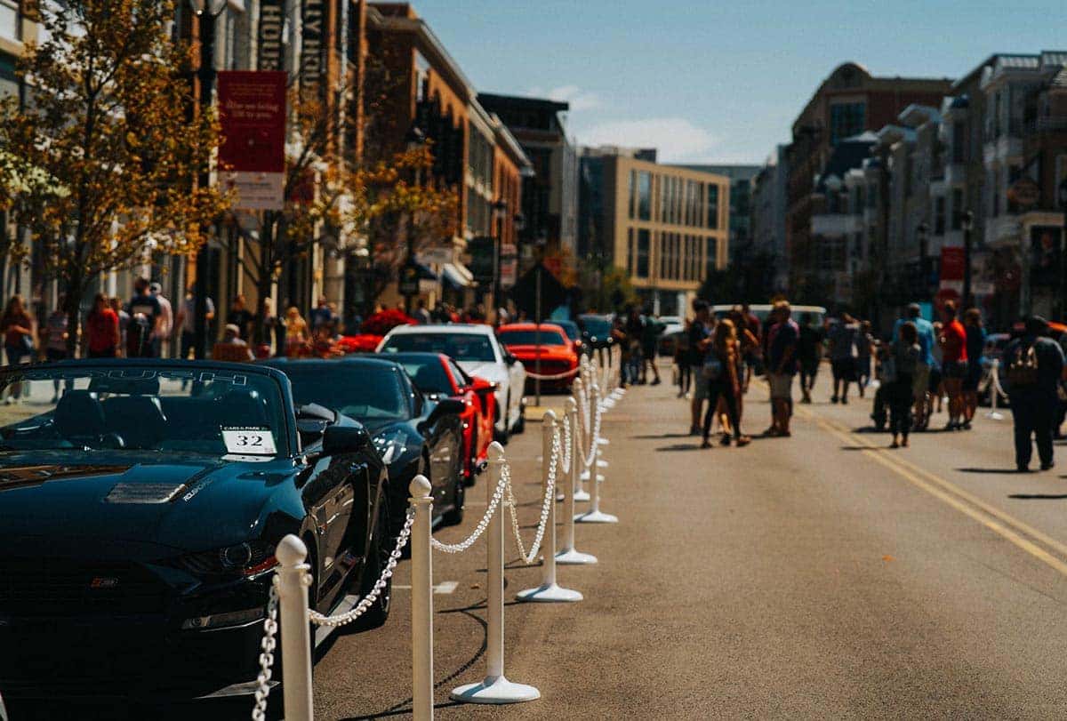 cars in the park 2021