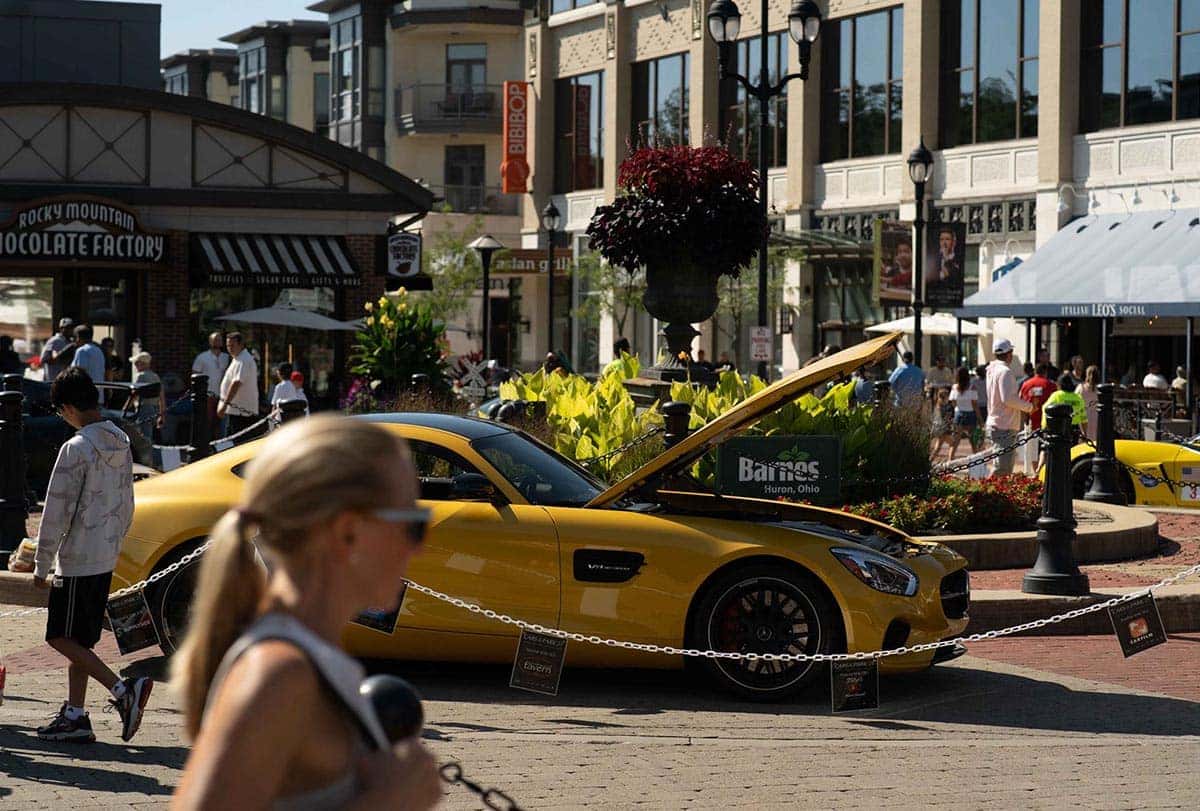 cars in the park 2021