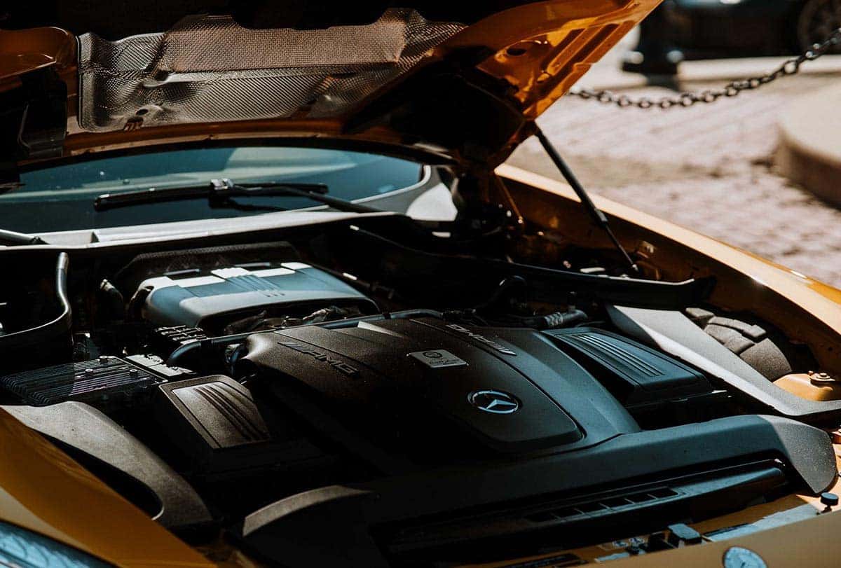 cars in the park 2021