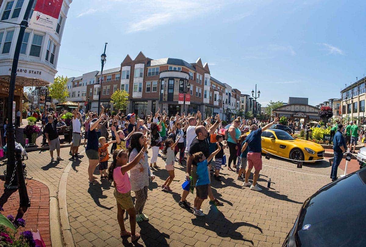 cars in the park 2021