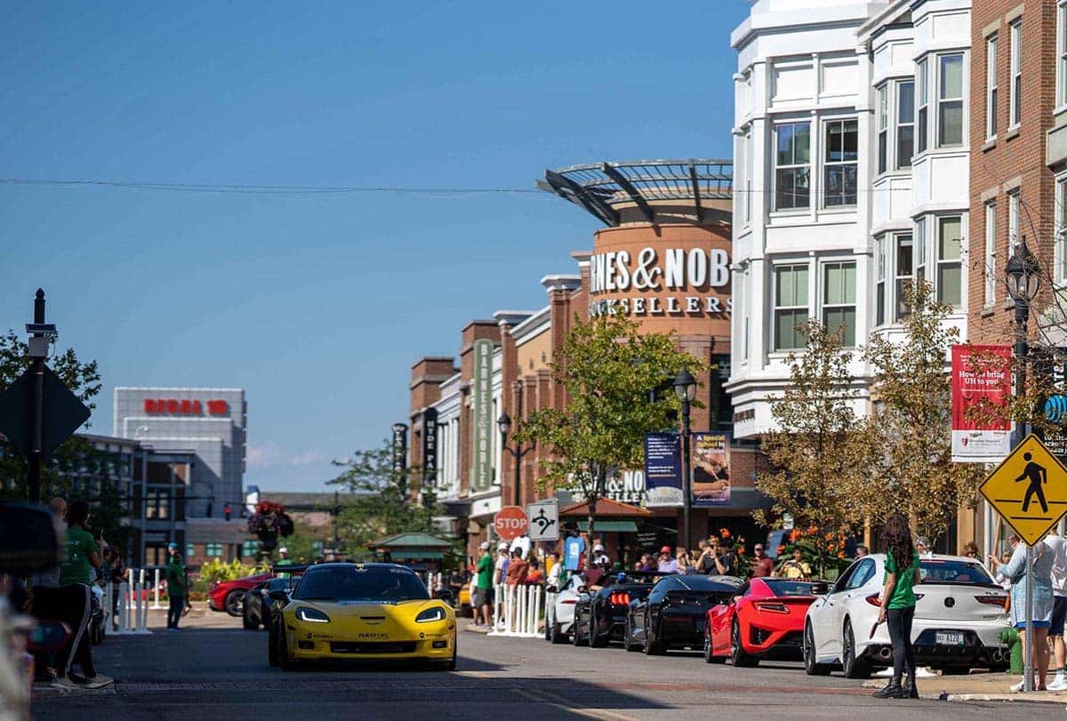 cars in the park 2021