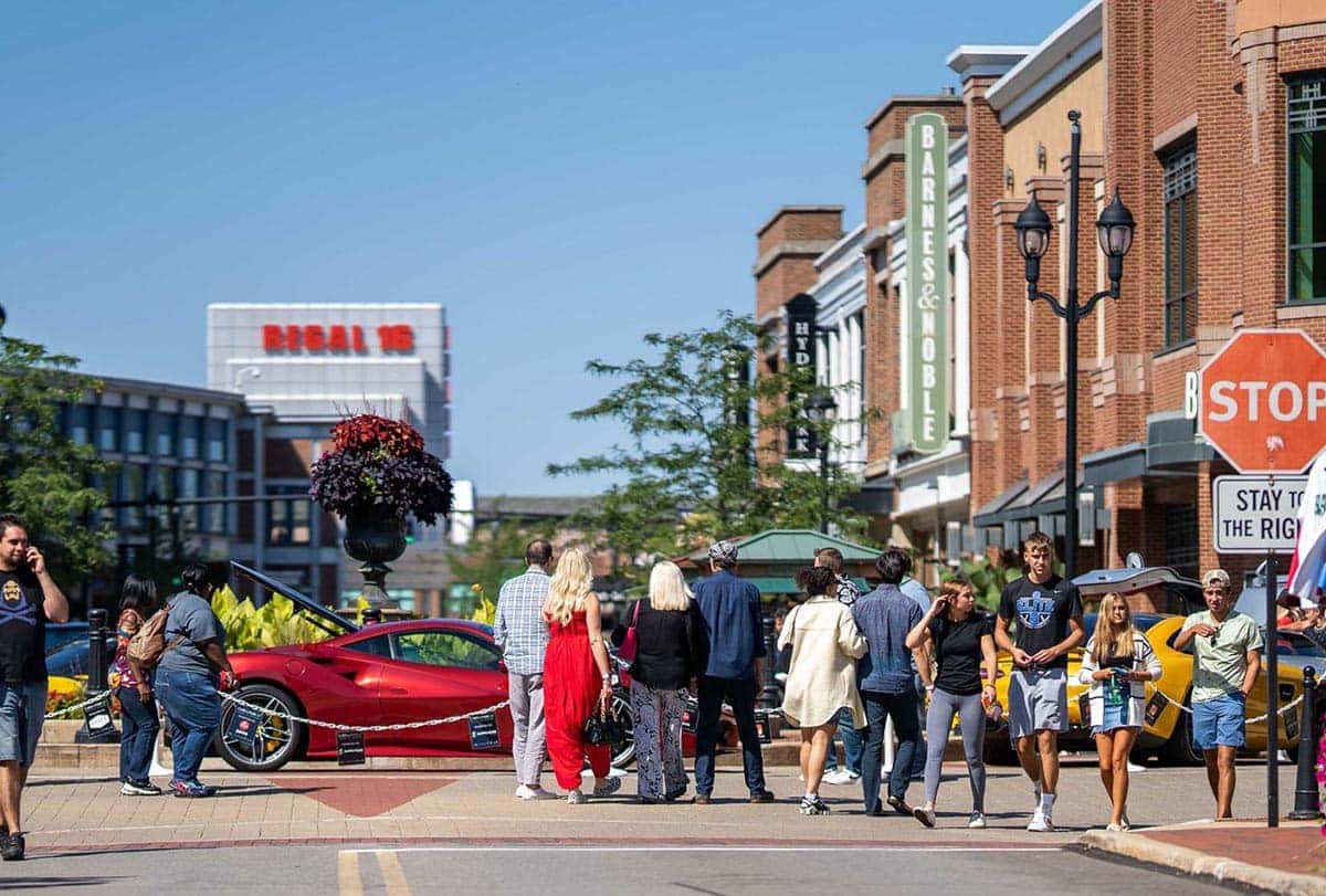 cars in the park 2021