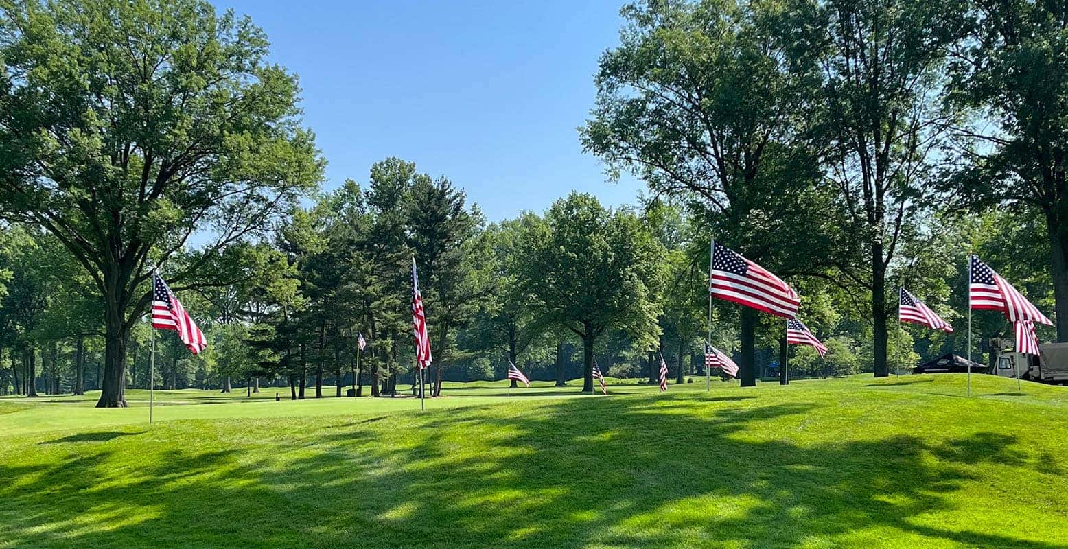 Many American flags on poles stand on a sunny green lawn surrounded by trees.